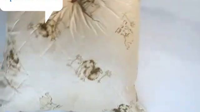 Подушка верблюжья шерсть Этюд 70х70 бренд АЭлита смотреть онлайн