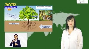 6-класс | География | Географическая оболочка. Природный комплекс