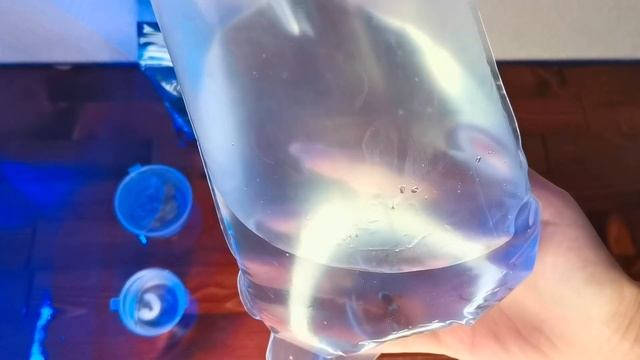 Распаковка новых коралов смотреть онлайн