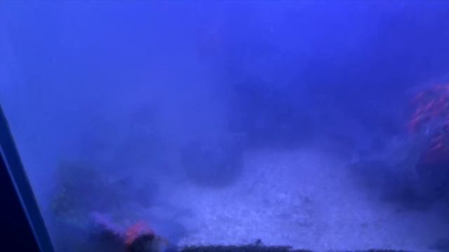My Tank Crashed & Everything Died! смотреть онлайн