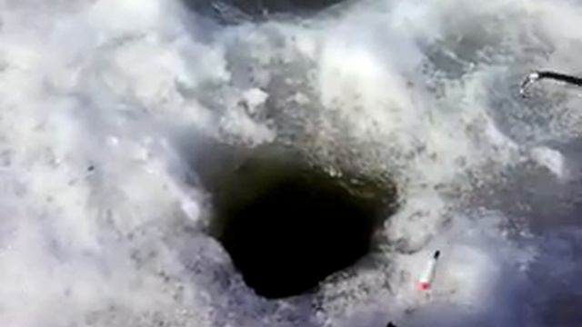 Я поймал рыбу! смотреть онлайн