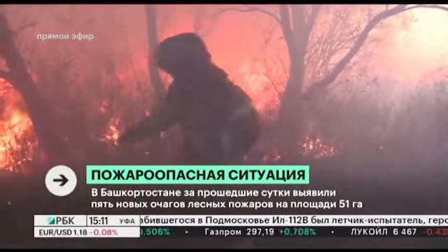 В Башкортостане за прошедшие сутки выявили 5 новых очагов лесных пожаров на площади 51 га смотреть онлайн