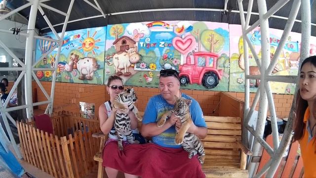 Тигровый зоопарк в Паттайе смотреть онлайн