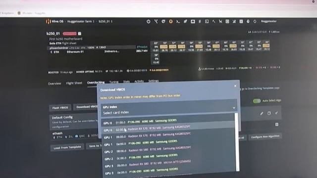 Downloading VBIOS From A GPU On HiveOS.