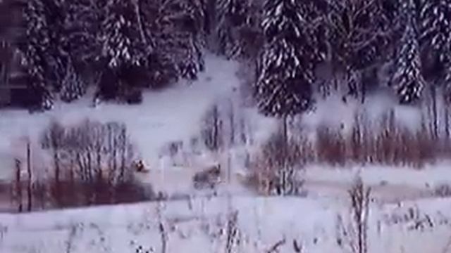 Гонки на снегоходах с. Петропавловск 2004. Советск Кировской обл. смотреть онлайн