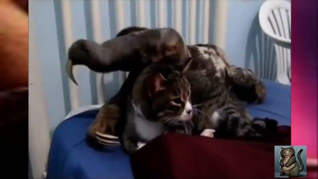 Что хочет сделать с котом ужасный муравьед смотреть онлайн