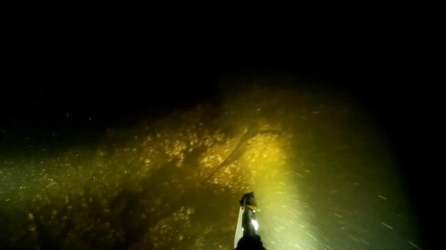 Прогресс 4 на дне Волги. Самара. смотреть онлайн