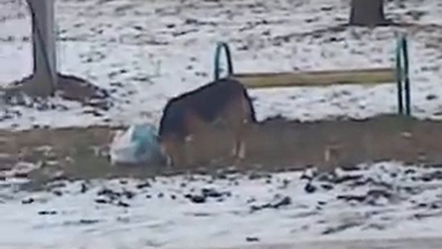 Украл у рабочих смотреть онлайн