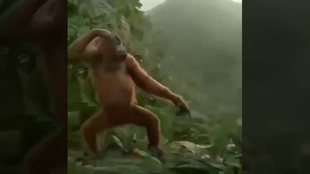 Наконец то выходные . смотреть онлайн