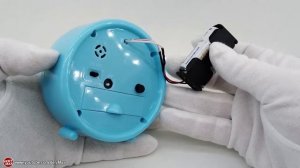 Какие батарейки работают дольше? (короткая версия)