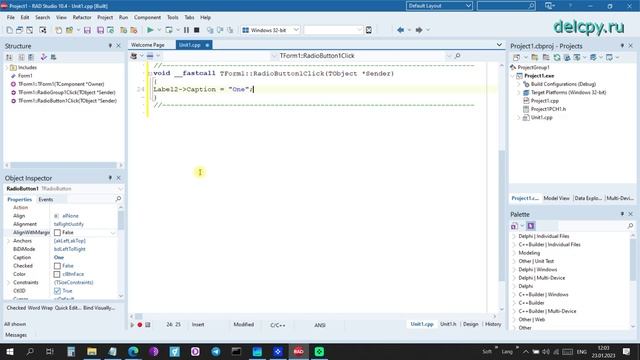 groupbox radiobox C++. Embarcadero. смотреть онлайн
