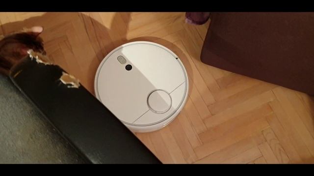 Робот-пылесос Xiaomi Mi Robot Vacuum Cleaner 1S/обзор/распаковка/как подключить к телефону! смотреть онлайн