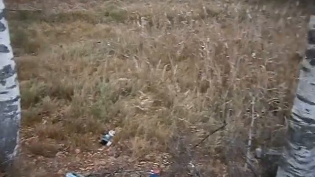 Пруд на даче своими руками. Ошибки.