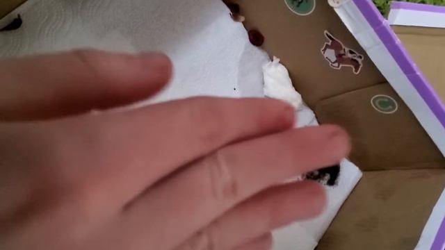 Уход за моей прекрасный Боже я коровки смотреть онлайн