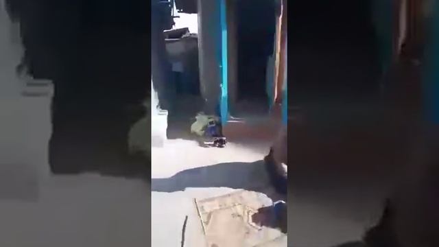 В Бишкеке нашли двух мертвых мальчика в холодильнике ! Шок ! смотреть онлайн