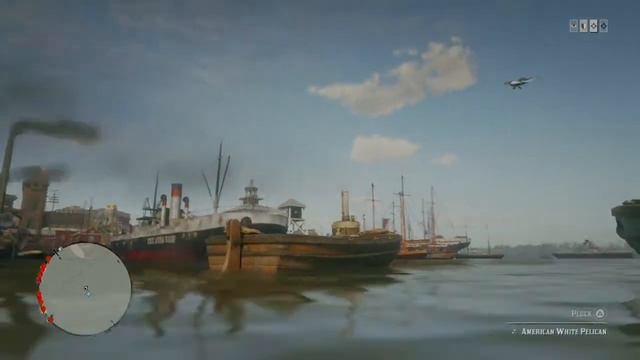 Red Dead Redemption 2_chicken pelican смотреть онлайн