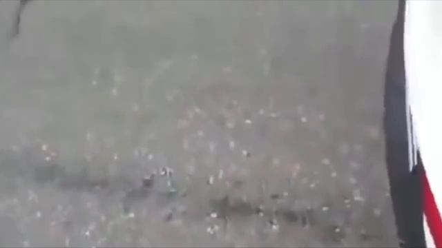 Нападение медведей на людей. Слабонервным не смотреть! смотреть онлайн