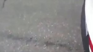 Нападение медведей на людей. Слабонервным не смотреть!