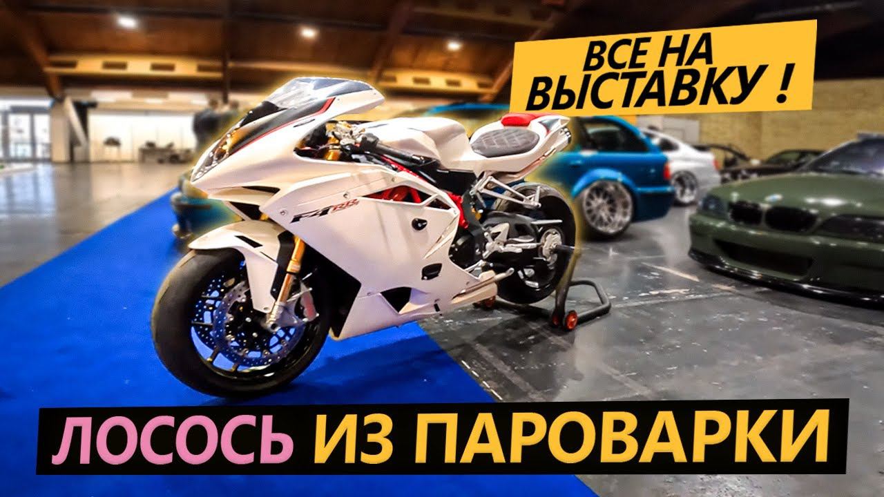 ЛОСОСЬ ИЗ ПАРОВАРКИ. Открытие сезона прокисло, едем на выставку! смотреть онлайн