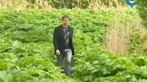 Лукоморья больше нет В.А. Ефимов. О тайнах А.С. Пушкина..mp4