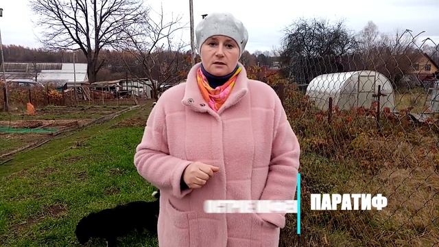 Почему гибнут молодые покупные куры. Причины и их решения. смотреть онлайн