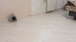 Укладка ламината по диагонали. Личный опыт, подсказки.