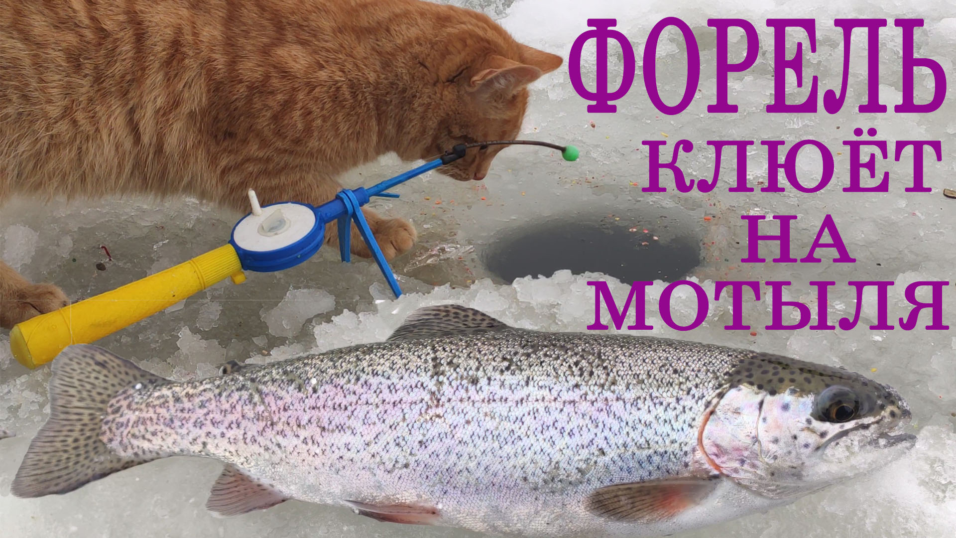 Форель клюёт на мотыля. Зимняя рыбалка. смотреть онлайн