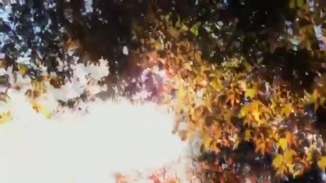 НЕ ПОЧТОВЫЕ МАРКИ ПОЧТОЙ смотреть онлайн