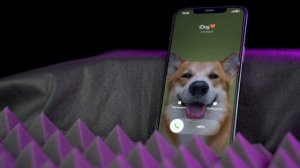 Standard iPhone ringtone «Introduction» | Стандартная мелодия звонка iPhone «Вступление»