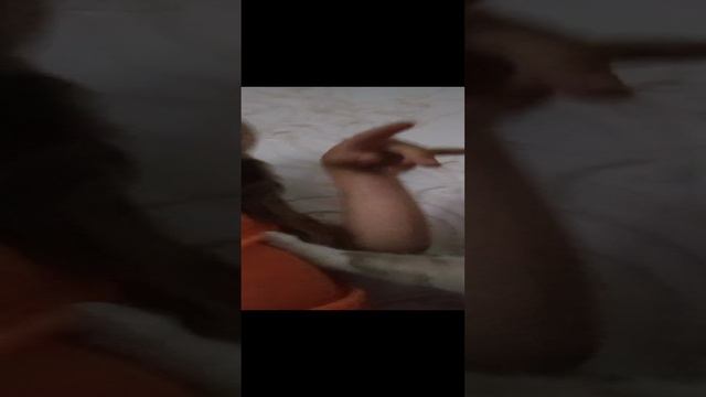 1000003009.mp4 смотреть онлайн