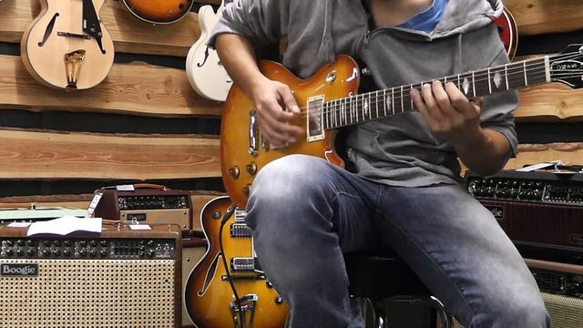 FGN Guitars Expert Flame Plain Top Orange Burst Von Rockland Music