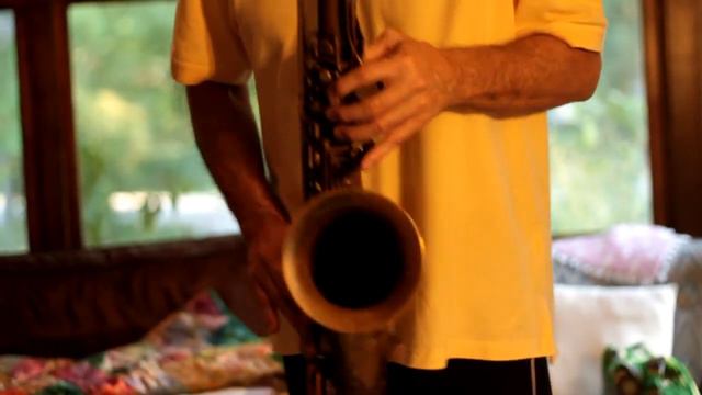 1939 Selmer Balanced Action Saxophone смотреть онлайн