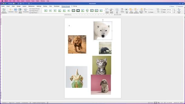 How To Make Pictures in Word The Same Size | EASY TUTORIAL смотреть онлайн