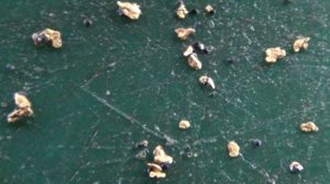 Разведал богатую россыпь Золота на самородковом ручье!#3