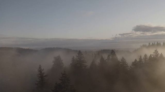 [Simplistic Music Co] Trappa & Keepa - Dial M смотреть онлайн