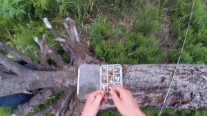 Ловля Хариуса на малой реке Урала, летом.