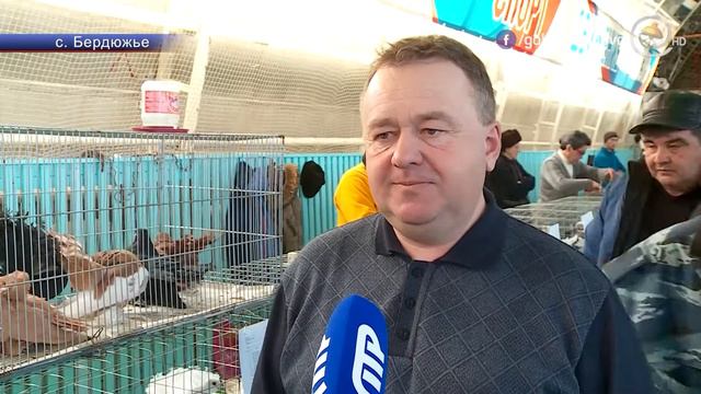 В Бердюжье прошла ежегодная выставка голубей смотреть онлайн
