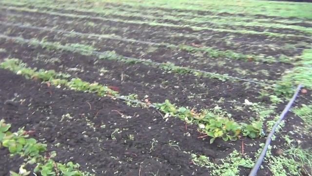 Азия,Априка,Клери,Зюгана смотреть онлайн