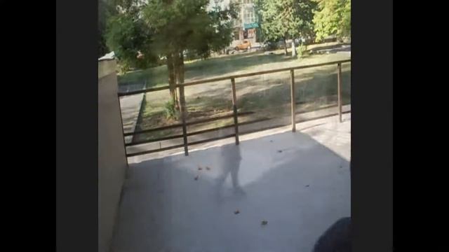 тренировка в лазаревском смотреть онлайн