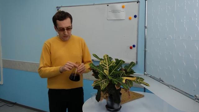 Экологическое ДСП смотреть онлайн