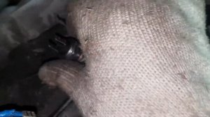 свет заднего хода и шарик в кпп сенса