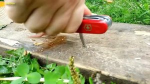 Стандартный тест ножа. Такой какой он должен быть! Victorinox Ranger  1.3763.71