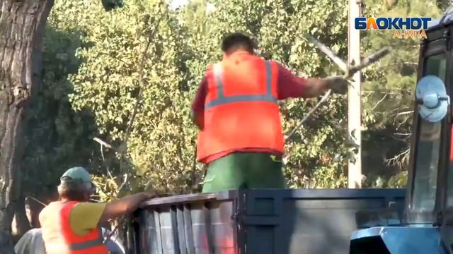 Шумел камыш, деревья гнулись... Внимание: в Анапе проводят кронирование! смотреть онлайн