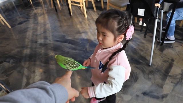 [SUB] 앵무새랑 서먹한 채린이🦜🦜 смотреть онлайн