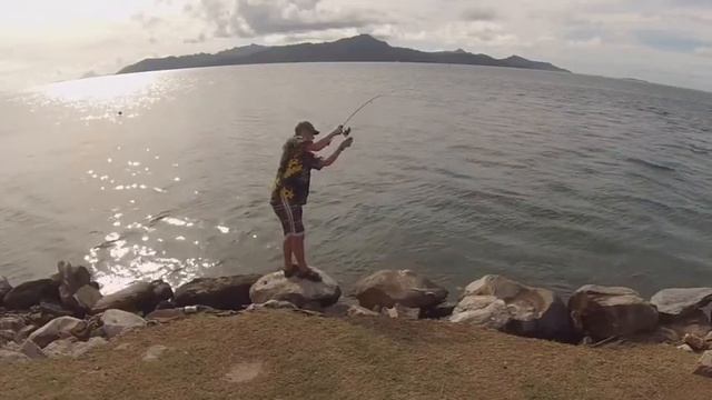 blue bird compact во Французской Полинезии.Рыба-Флейта смотреть онлайн