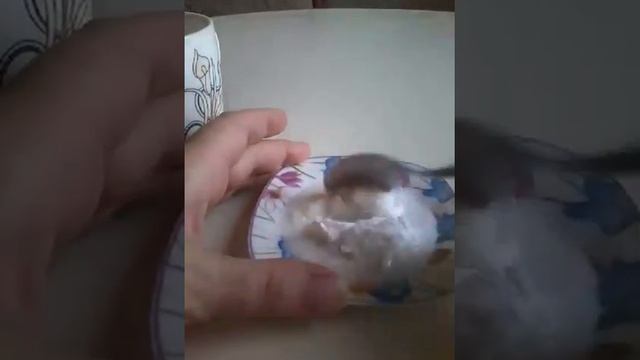 Скраб для лица в домашних условиях , Сода и Молоко . смотреть онлайн