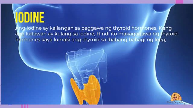 LESSON 5 HEALTH 3 effect of the various forms of malnutrition смотреть онлайн