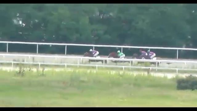 Ахалтекинская кобыла Фериде. Скачка смотреть онлайн