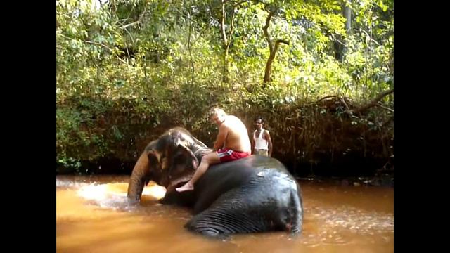 Купание слона. ГОА смотреть онлайн
