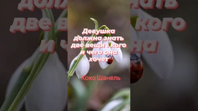 женщины умнее мужчин, потому что... смотреть онлайн